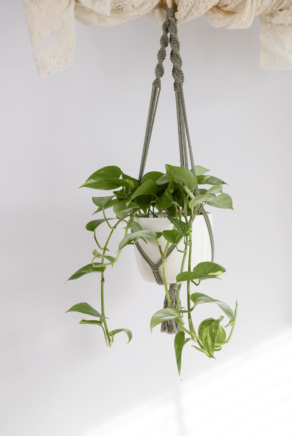 Classic Macrame Plant Hanger