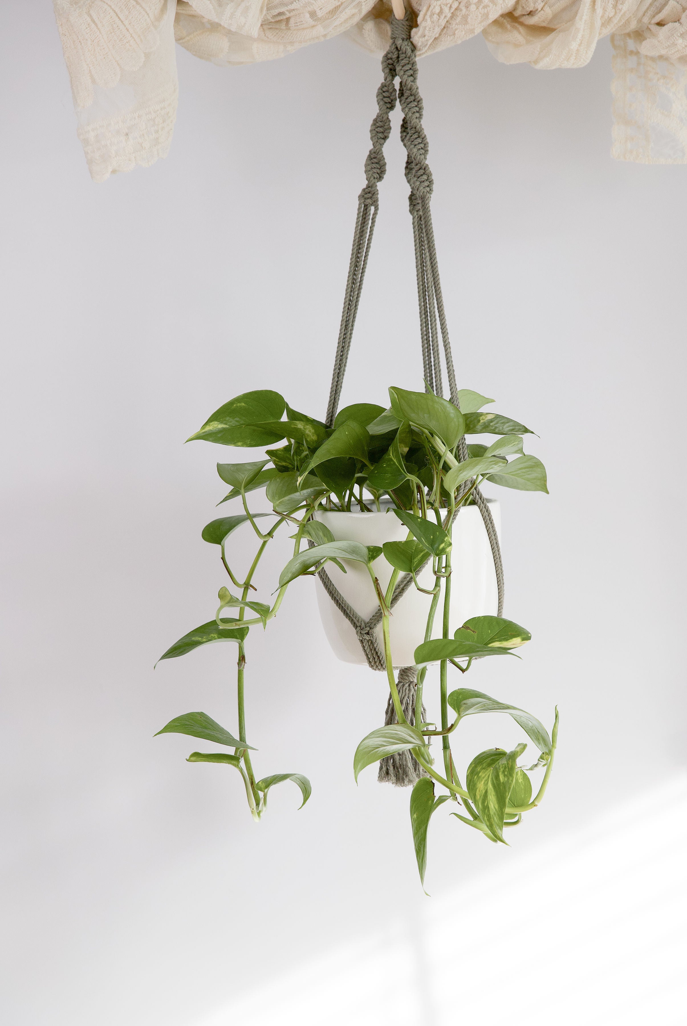 Classic Macrame Plant Hanger
