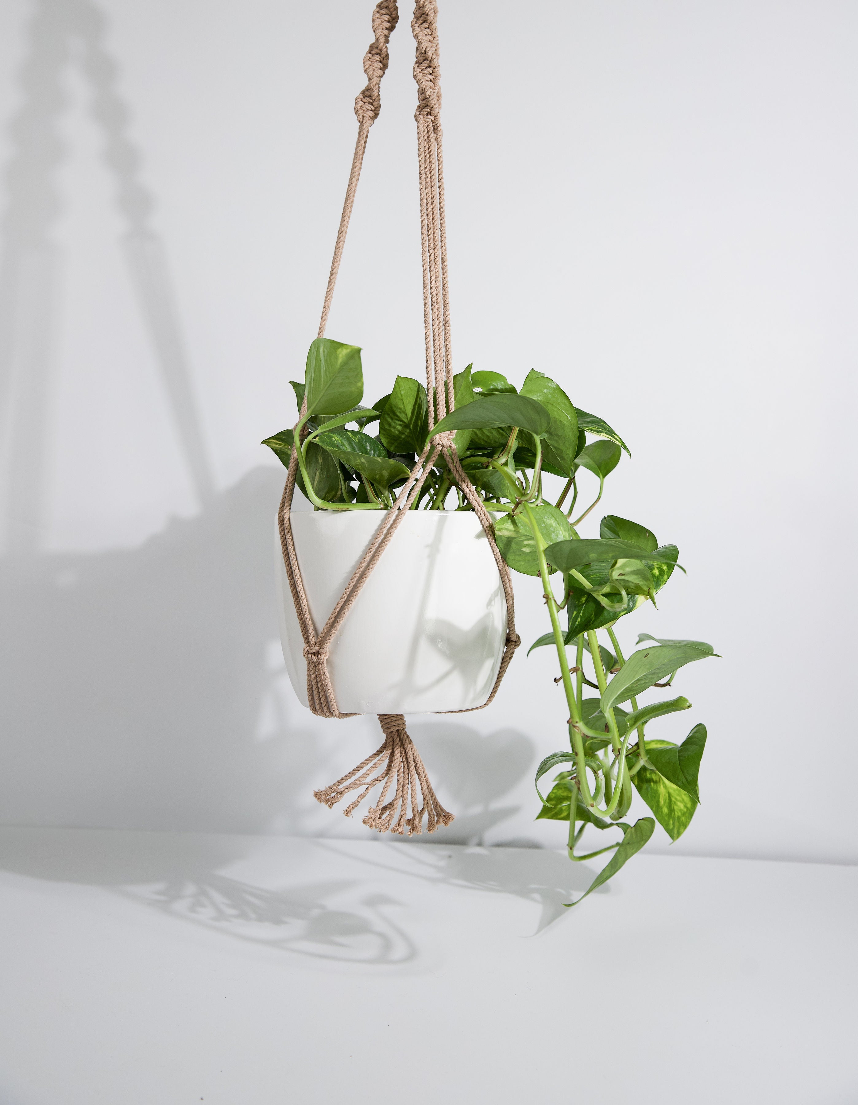 Classic Macrame Plant Hanger