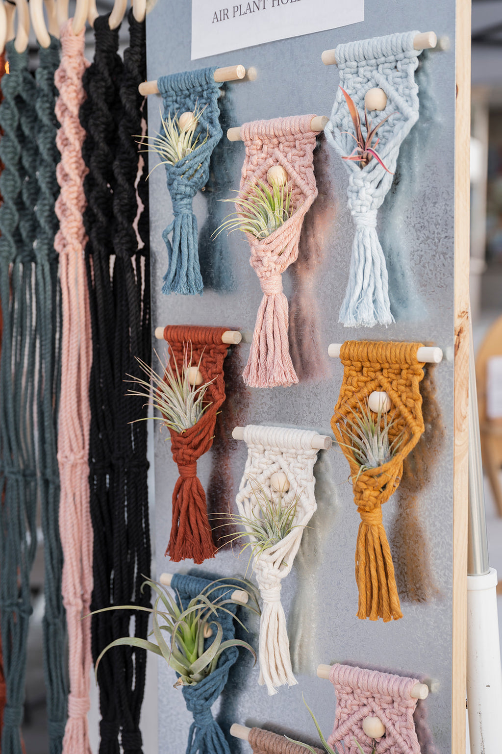 Magnetic Air Plant Holder