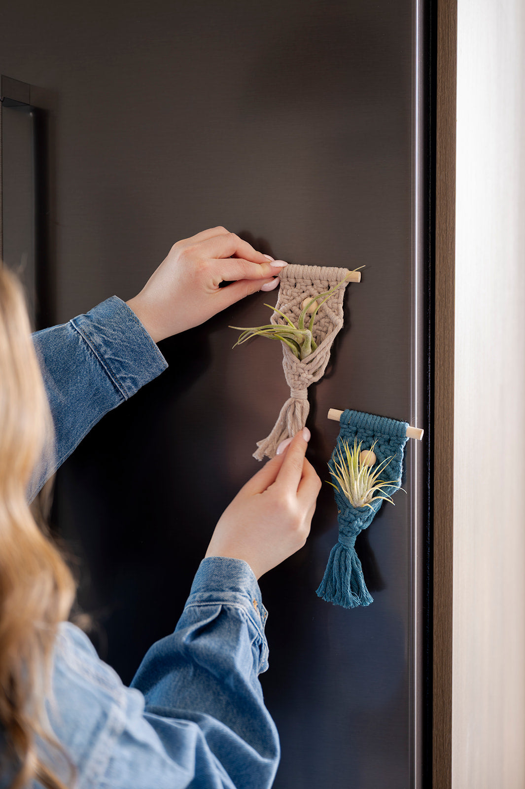 Magnetic Air Plant Holder