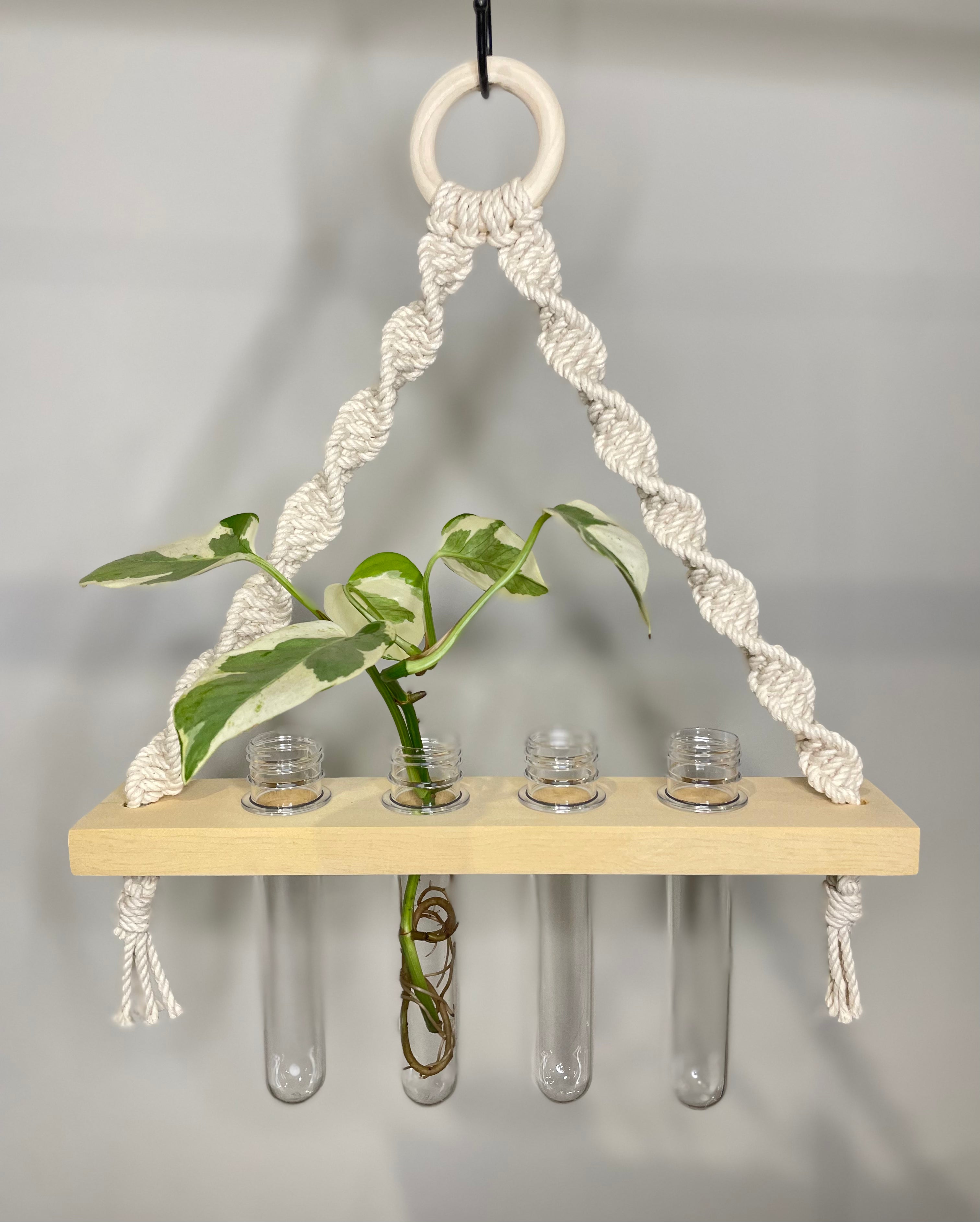 Macrame Propagation Station Hanger