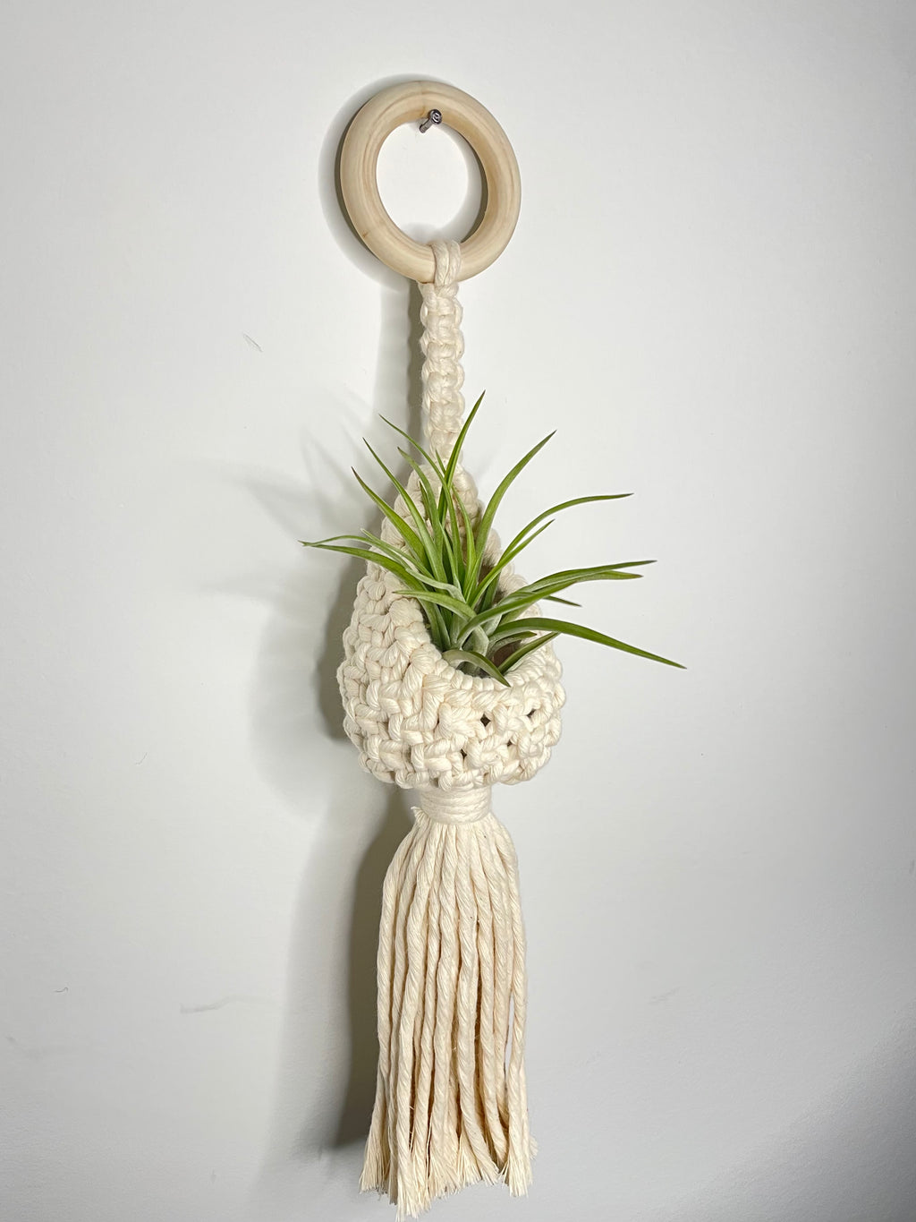 Macrame Air Plant Pod