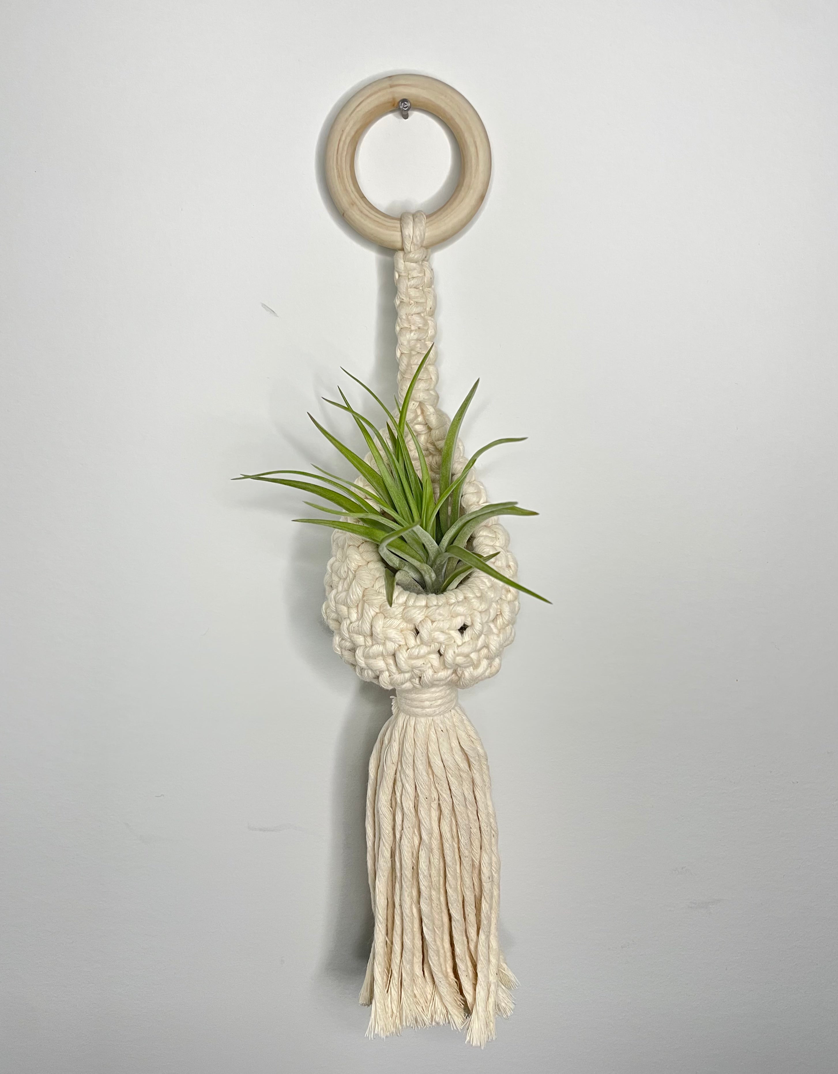 Macrame Air Plant Pod