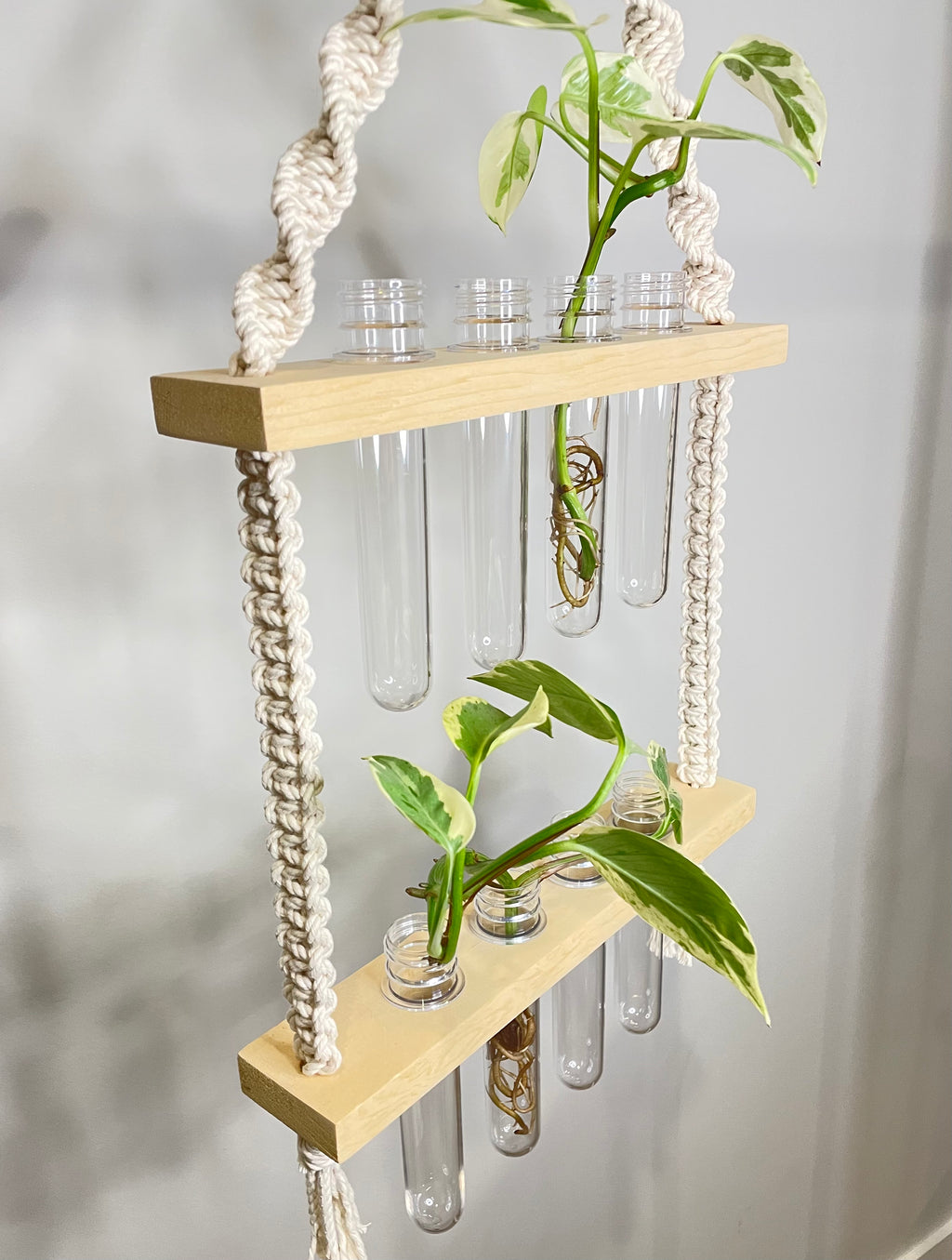 Macrame Propagation Station Hanger