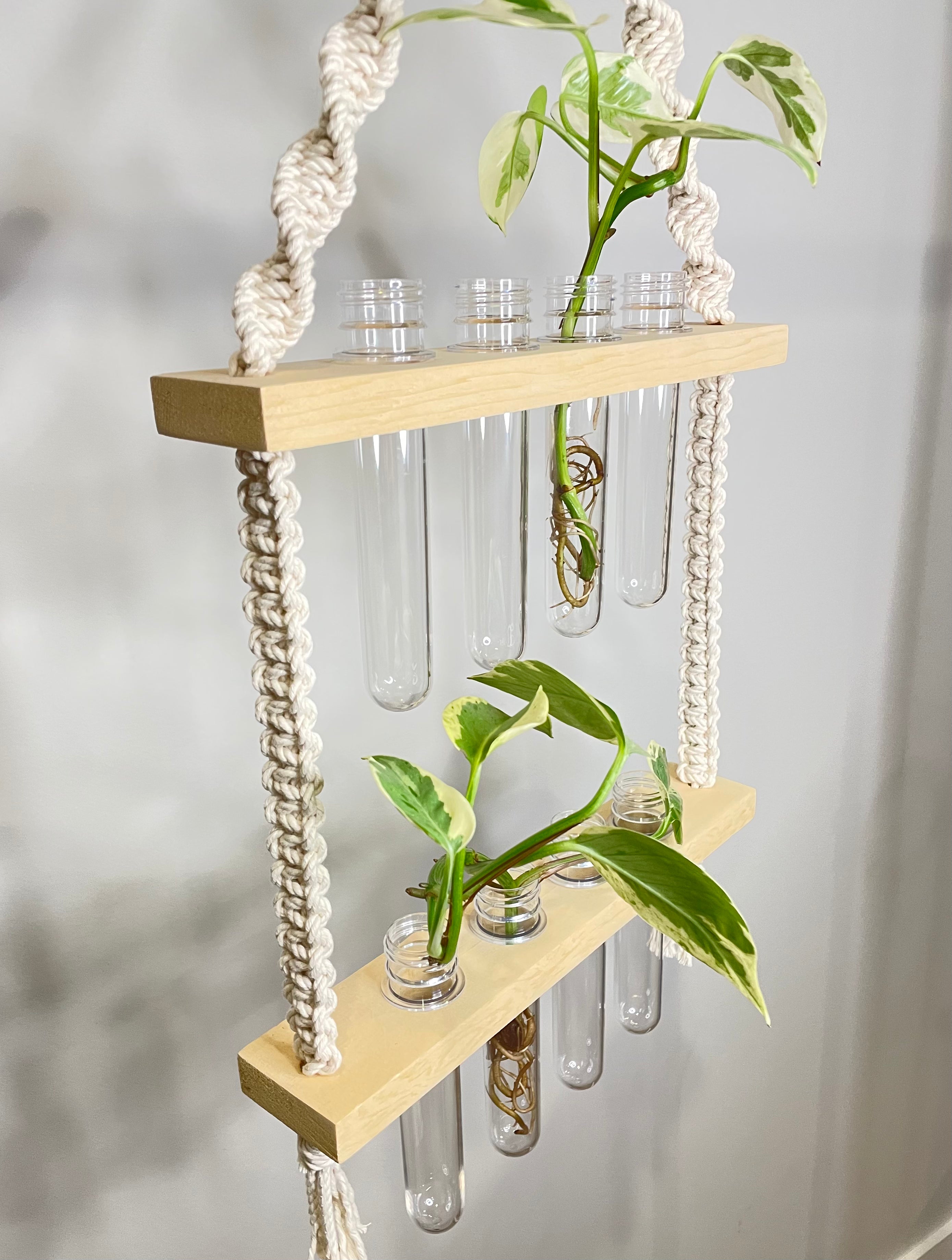 Macrame Propagation Station Hanger