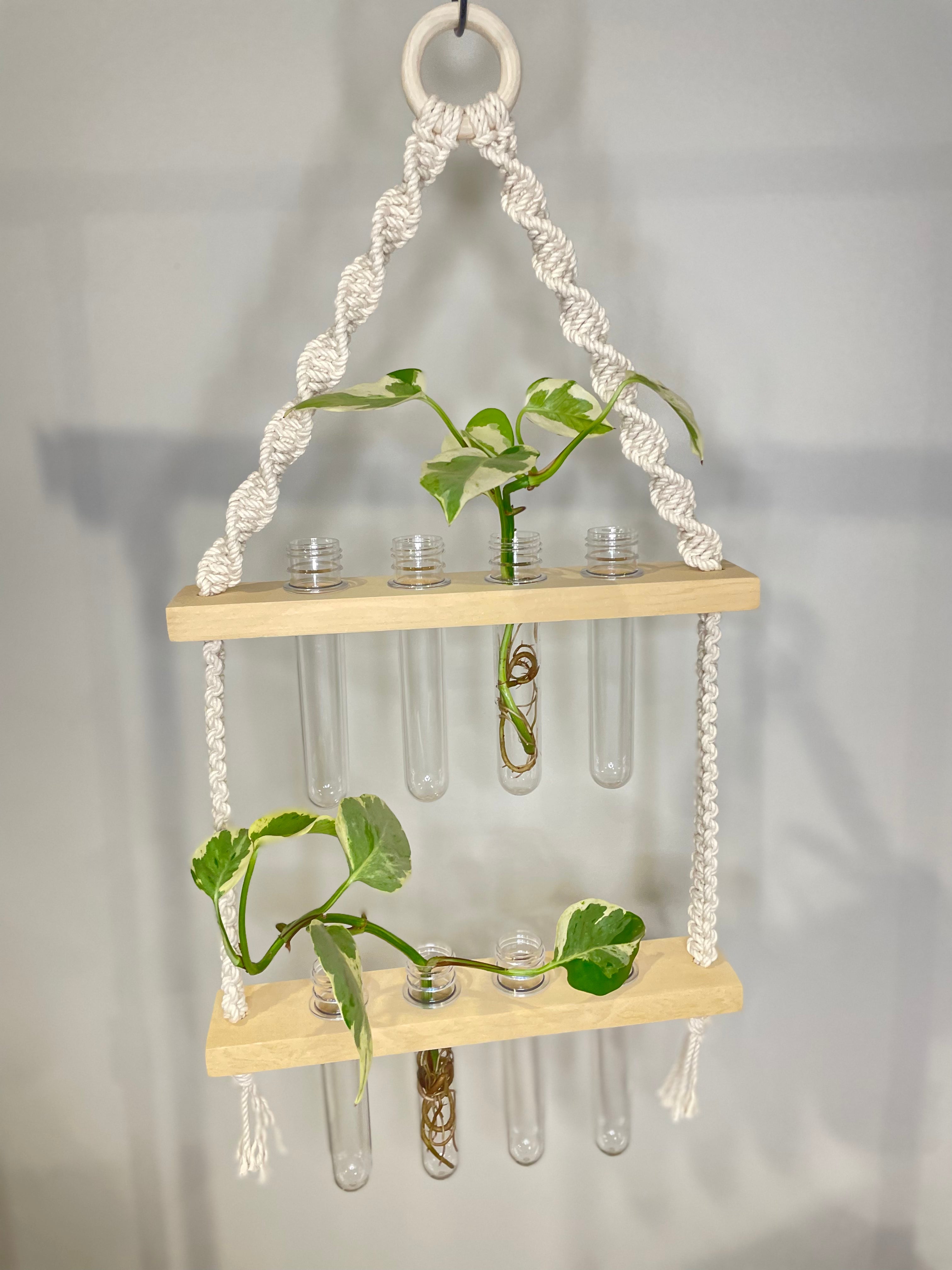 Macrame Propagation Station Hanger
