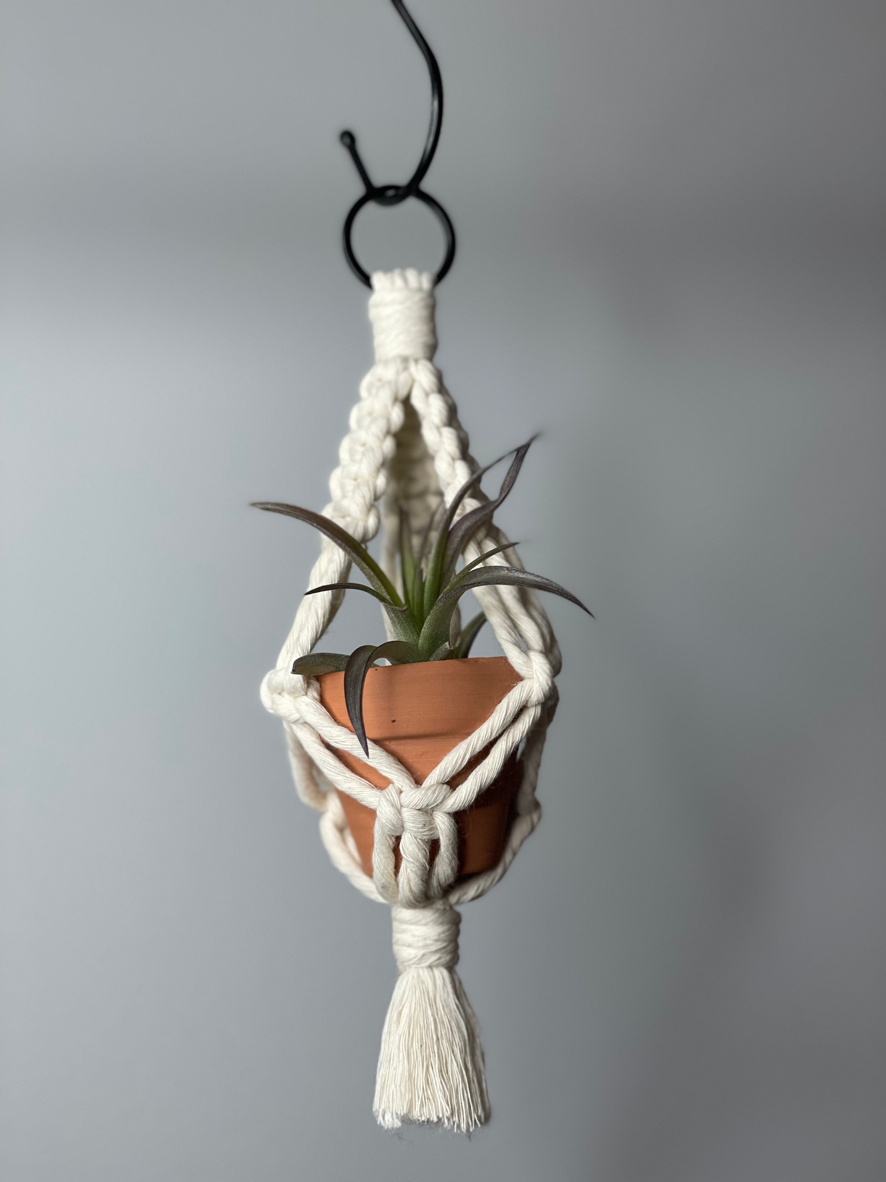 Mini Macrame Air Plant Hanger